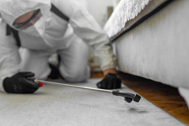 Professional Termite Control technician working in Fairchance, PA