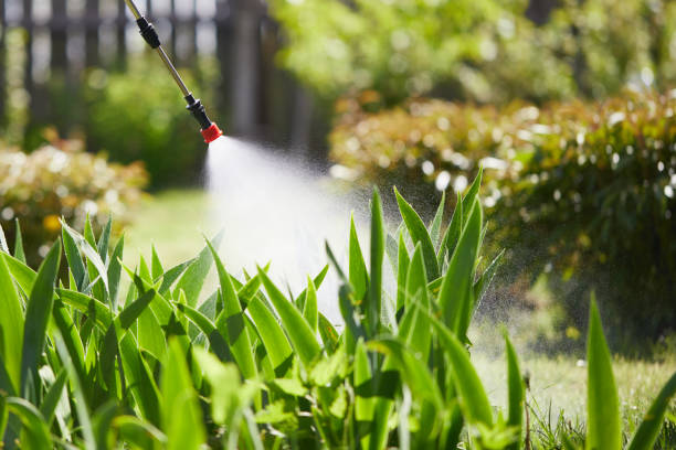 24/7 Emergency Termite Control experts in Fairchance, PA