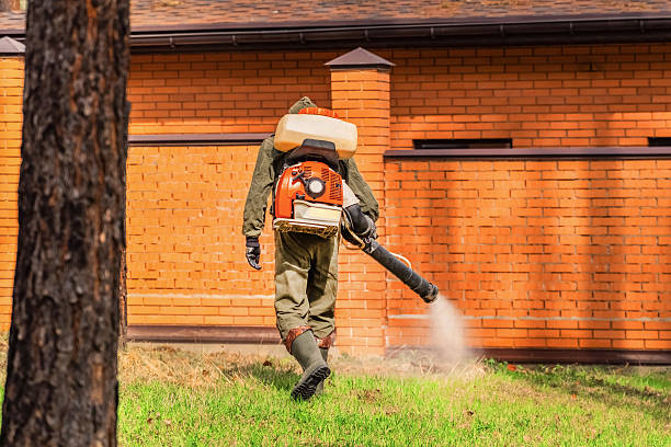 Top rated local Termite Control specialists in Fairchance, PA